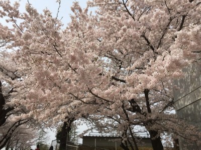 2016-04-10 093401