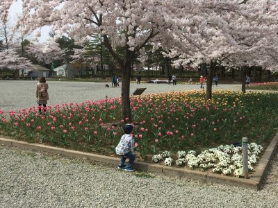 2016-04-10 094042