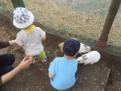 2016-06-07 171346