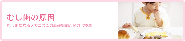 むし歯の原因