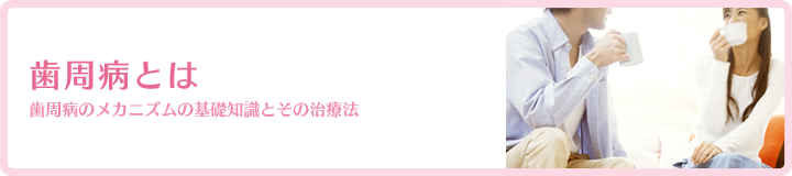 歯周病とは